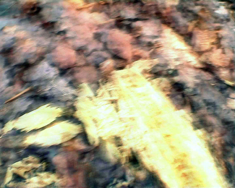 Limites hybrides - extrait