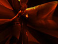 Diffract