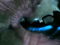 mouth piece 4